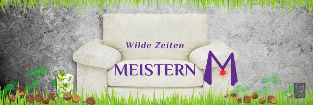 Banner Seminarreihe Wilde Zeiten meistern
