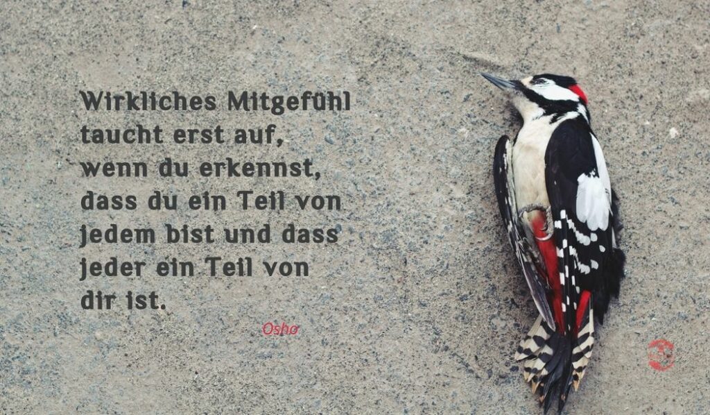 Osho Zitat über Mitgefühl