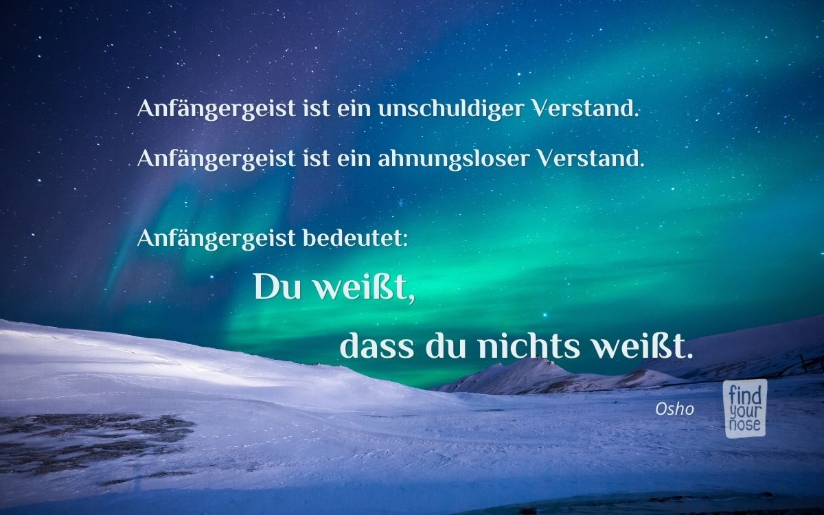 Osho Zitat über Anfängergeist