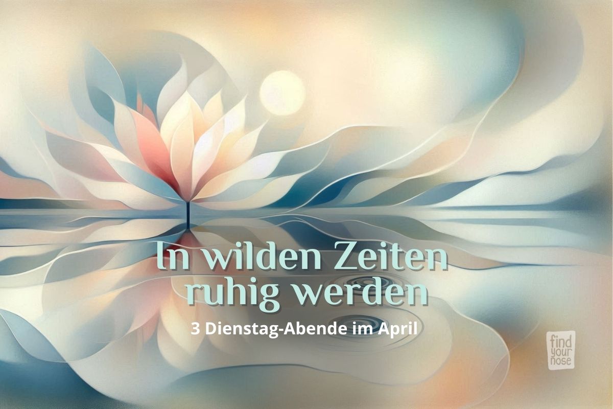 Online Kurs: In wilden Zeiten ruhig werden