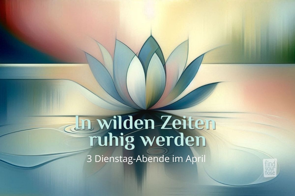 Online Kurs: In wilden Zeiten ruhig werden