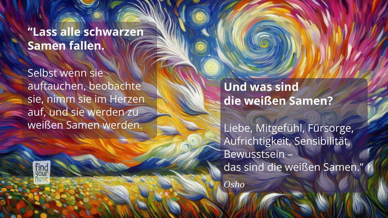 Weiße Samen säen, meditieren! Weiße Samen säen, meditieren!