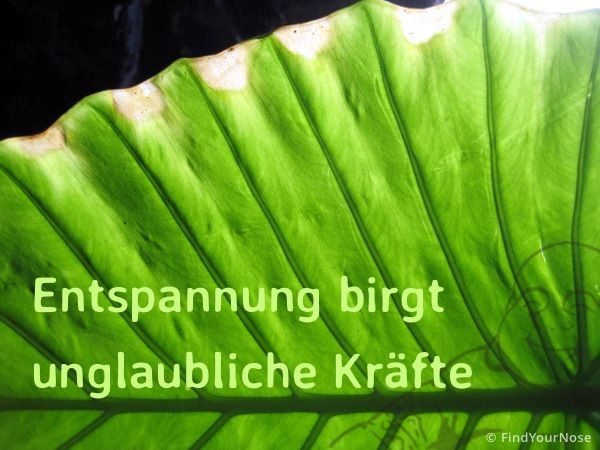 Einzigartigkeit birgt unglaubliche Kräfte