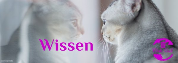 Wissen – das Wochenthema