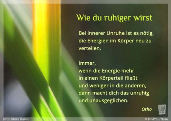 Bildzitat Wie du ruhiger wirst