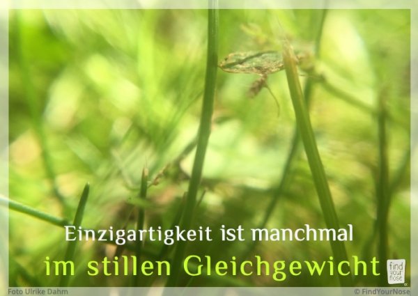 Stilles Gleichgewicht