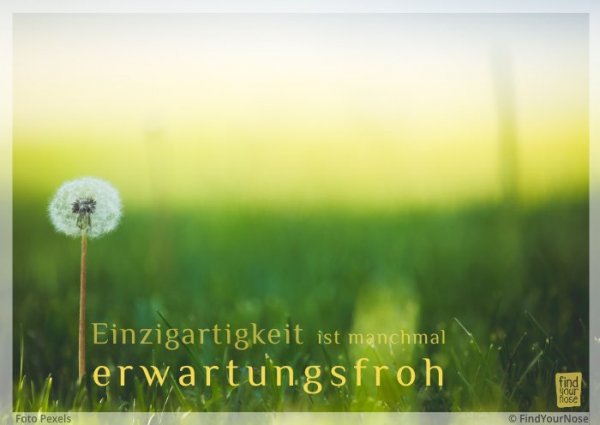 Einzigartigkeit ist manchmal erwartungsfroh