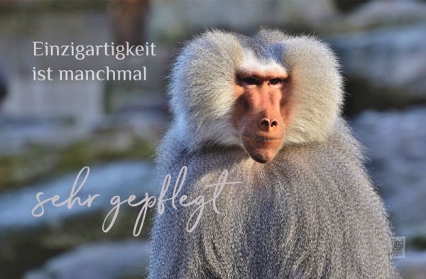 Wochenmeditation Liebe