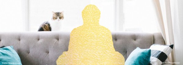 In QuarantÃ¤ne? Meditationen und 3 Tipps